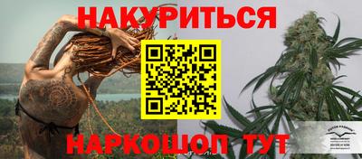индика Долгопрудный